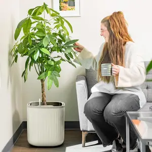 Vego Garden Self-Watering Pots for Indoor Plants with Built-In Water Gauge & Rolling Casters - Modern Decorative Planters for Beginners & Easy Care