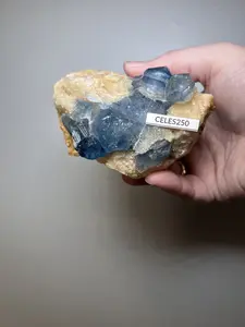 Afghani Celestite Clusters - Highest mineral content in the World!