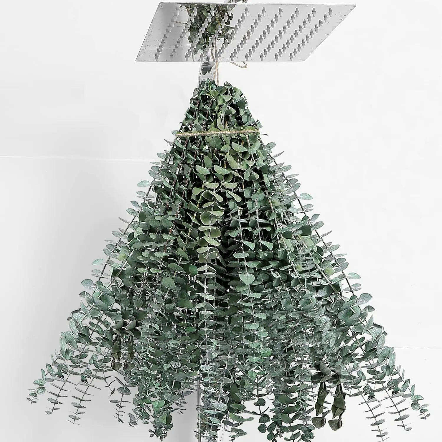 30 Pcs Eucalyptus for Shower Hanging Dried Eucalyptus Stems 17" Real Eucalyptus 100% Made from Fresh Eucalyptus Leaves Wedding Decor Home Decor Farmhouse Decor DIY Spring Decor,Green. Dried Flowers
