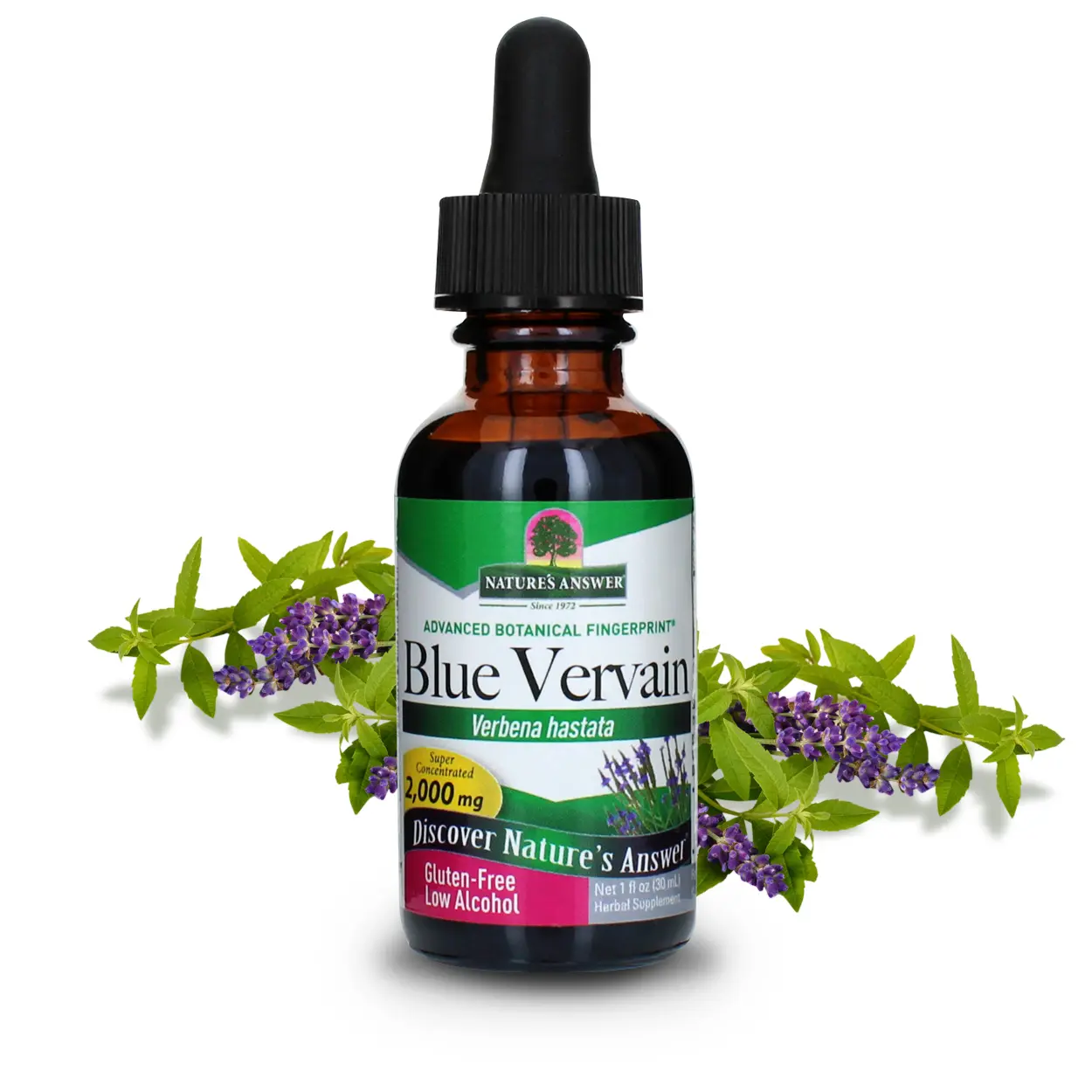 Blue Vervain Herb Extract Nature's Answer 1 oz Liquid | Stress Reliever | Anxiety Reducer | Natural Mood Support