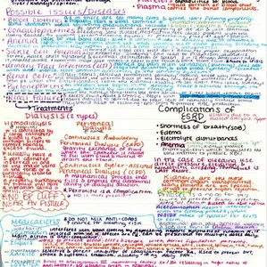 Hematologic and Renal Emergencies EMT Chapter 24