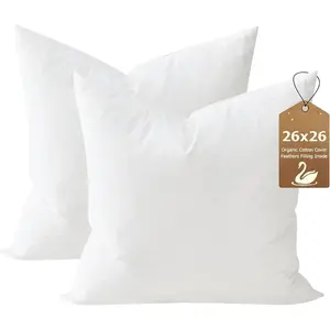 26x26 Down  Throw Pillow Inserts Set of 2,    Cover, Soft Square Decorative Pillow for Sofa, Couch and Bed, White