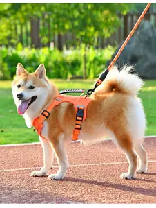 PetTrek NightTrek Dog Harness and Reflective Leash Bundle - No-Pull Vest Harness with Top Handle, 360 Reflective Strips for Night Walks (4 Colors, 5 Sizes)