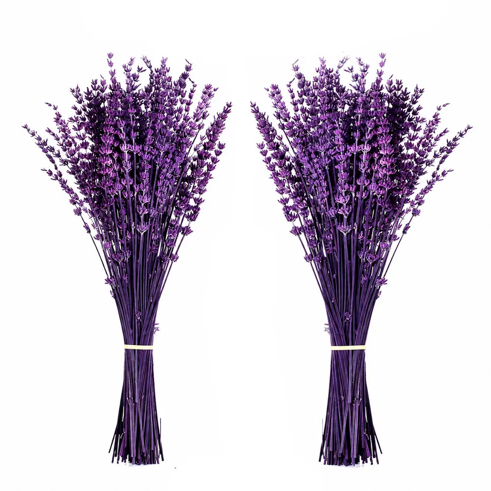 2 Bundles, Dried Purple Lavender Flowers Bundle-Dried Preserved Lavender Bouquet 15-17" for Shower Weeding Home Vase Decor, Crafts, Aromatherapy, Fragrance, Fresh Silk Dry Live Plants