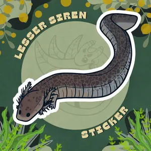 Lesser Siren Glossy Sticker
