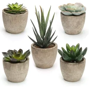 Artificial Succulent Plants Potted, Assorted Decorative Faux Fake Cactus Cacti Plants with Pots, Set of 5