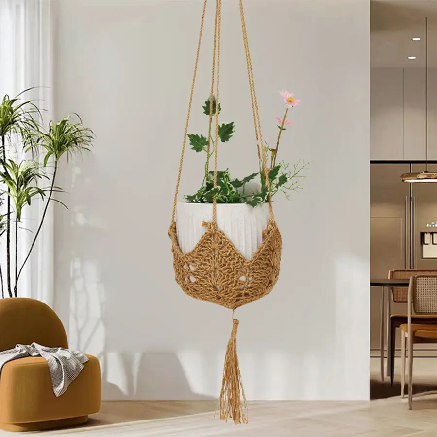pothos hawaii Hawaiian' Pothos  Jardineries Botanix