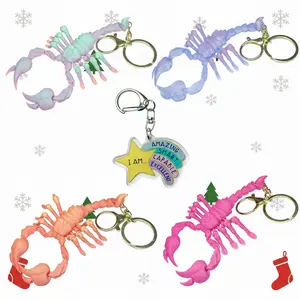 2PCS Keychain Gift Set – 3D Printed Gradient Scorpion & Inspirational Star Acrylic Keychain, Cute Multi-Purpose Decoration, Perfect Holiday & Christmas Gift