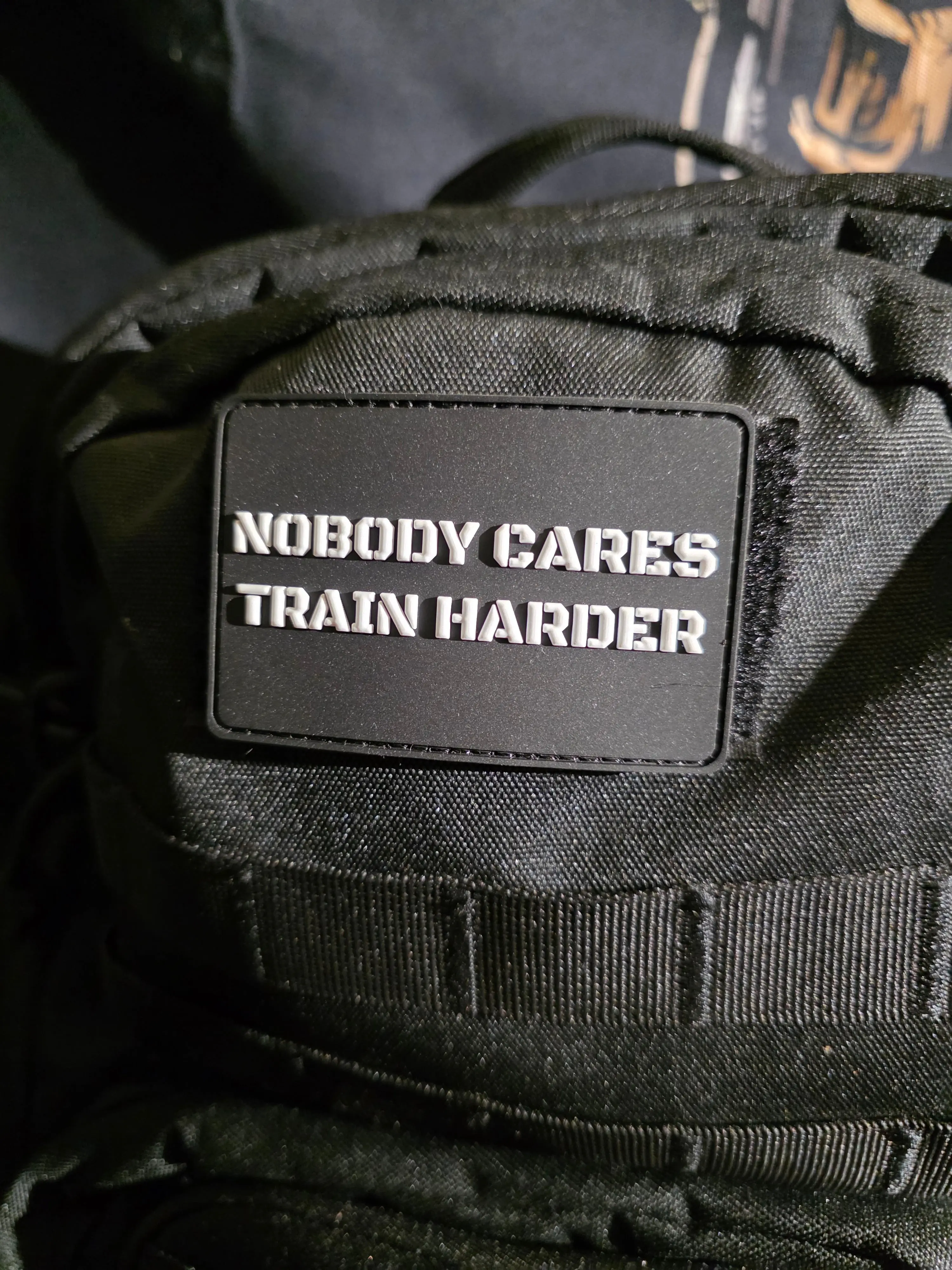Motivational Embroidered Tactical Hook-Loop Backing Morale Patch - "Nobody Cares, Train Harder" Cue, 3 Color Options, 3x2in Size, Military-Inspired, for Gym Bags, Jackets, Lifters