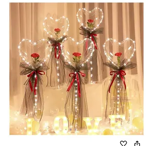 BoBo Transparent Balloon with LED Light and Heart Shape for DIY, Valentine's Day, Birthday, Wedding, Mother's Day Gift, 20 Inches (Red)