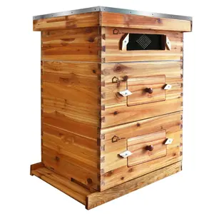 GARVEE 10-Frames Complete Beehive Kit, 100% Beeswax Coated Bee Hive Includes 2 Deep Box and 1 Medium Bee Box with with Acrylic Window, Beehive Frames and Beeswax Coated Foundation for Beekeeping Supplement