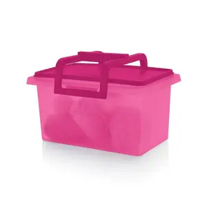 Tupperware Carry All Container with removable handle