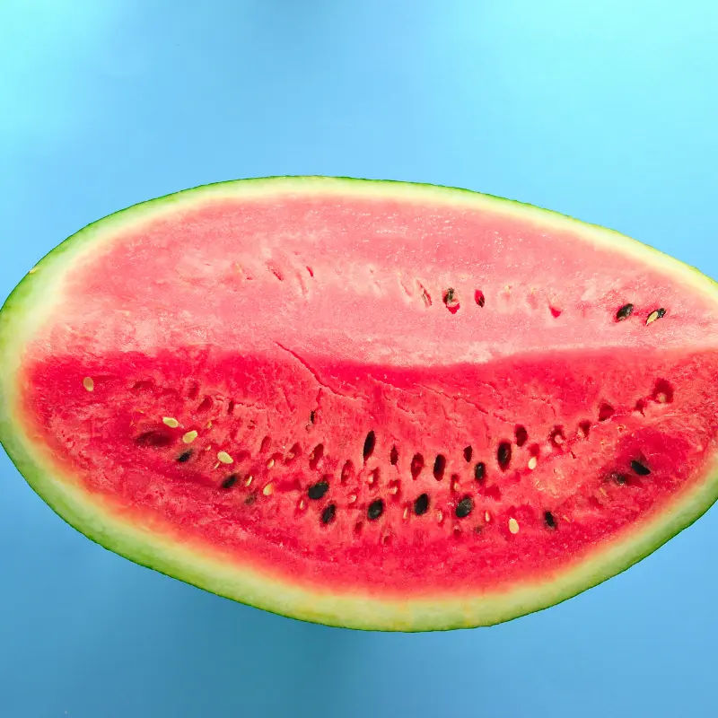Crimson Sweet Watermelon Organic Seeds (Citrullus lanatus) – Juicy, sweet watermelon with bright red flesh and small seeds. Resistant to diseases.