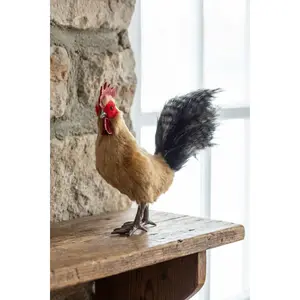 Standing Rooster