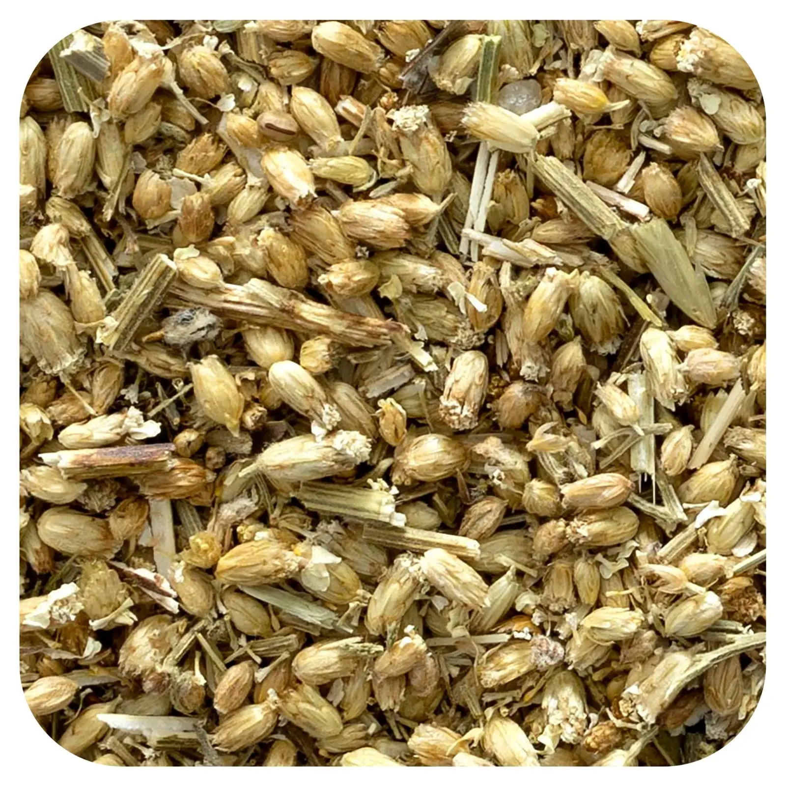 Frontier Co-op Organic Yarrow Flowering Tops, Cut & Sifted, 16 oz (453 g)