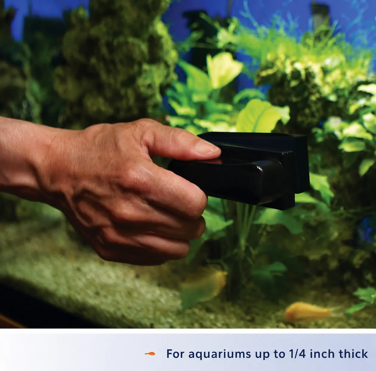 Magnetic Aquarium Glass Cleaner, Small Fish Tank Algae Scraper for Glass & Acrylic Tanks, Floating Magnetic Cleaner with Strong Cleaning Pad, Scratch-Resistant, Easy to Use