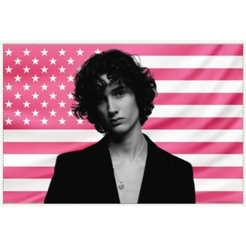 2D Flat, 1pc 2D Printing Pink SOMBR Flag Wall Poster| Indie Artist Tapestry Banner| Aesthetic Room Decor| Large Alt Flag| Fan side print) Grommets' Color Random