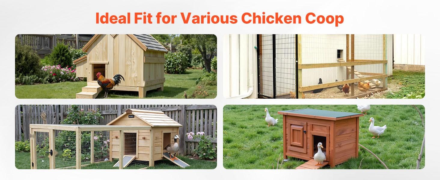 Automatic Chicken Coop Door Battery Powered With Timer And Manual Setting Anti-Pinch Safety Durable Aluminum Alloy Construction Auto Chicken Run Gate Opener With Waterproof Sealing And Weather Resistant Black Finish