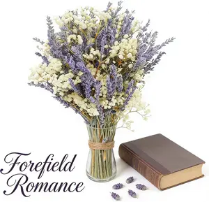 2Bundles Natural Dried Lavender & Baby's Breath Flowers Bouquet, 16" Real Scented Lavender Stems for Home Decor, Shower, Wedding DIY Crafts, Long-Lasting Fragrance, Gift Ready Box