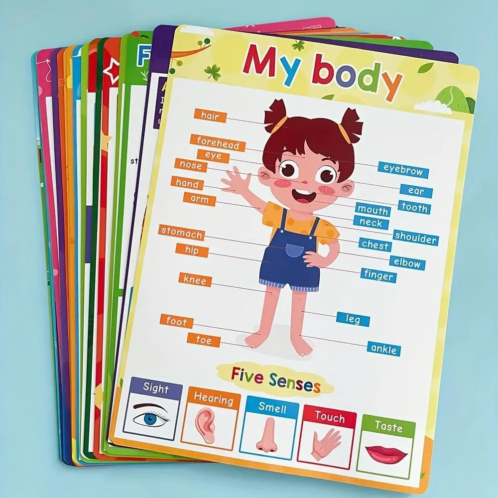 English Words Learning Worksheets, 20 Themes/set Animal Fruit Food Body Teaching Aids, Learning Materials, Classroom Decoration, Classroom Supplies Charts, Kids Toddlers Kindergarten Supplies, Alphabet Learning Chart