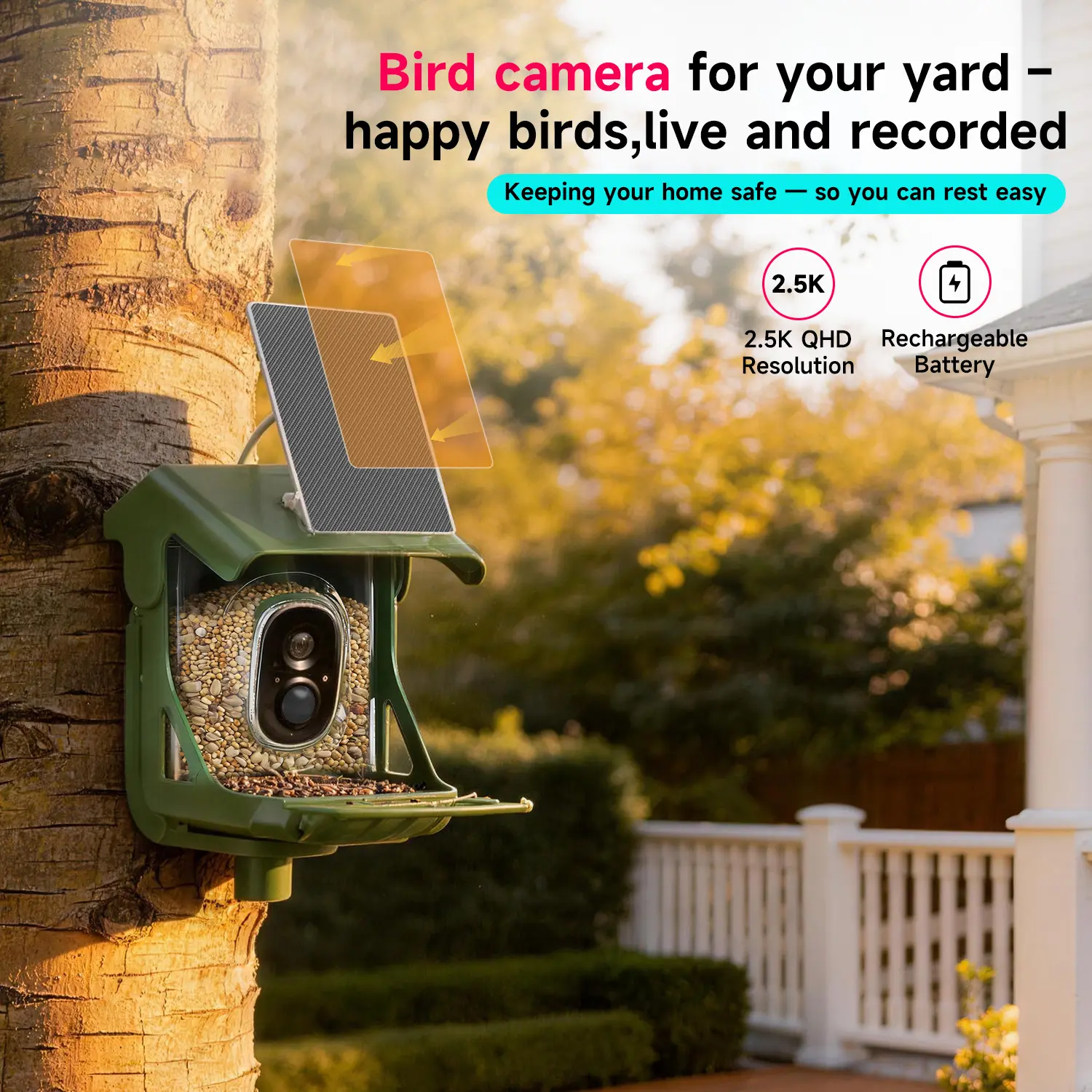 CINMOORE Smart Bird Feeder with Camera - Solar Powered, AI Bird Recognition, 2.4G WiFi 2.5K HD Video Live Stream, Full Color Night Vision, Instant Arrival Alerts, Weatherproof Bird House for Outside