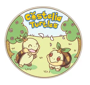 CosteliaTurtleTCG