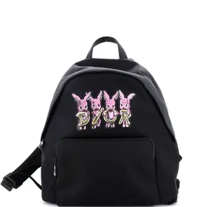 Pre-owned Dior Nylon Backpacks Christian Front Pocket Zip Backpack Embroidered Medium by Rebag