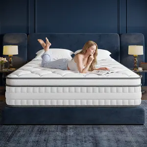 Raybee 10/12/14 Inch Hybird Mattress in a Box with 5 Layers of Memory Foams & Pocket Coils Springs, CertiPUR-US Certificated, Motion Isolation Design,Relieve Pressure with Medium Support, Cooling & Breathable Fabric, Enhanced Edge, Full, Queen, King, Twin