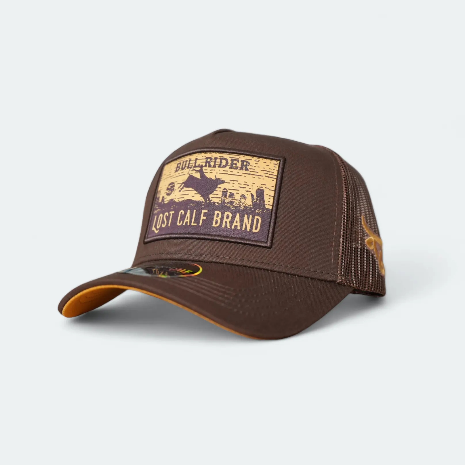 Bullrider A-Frame