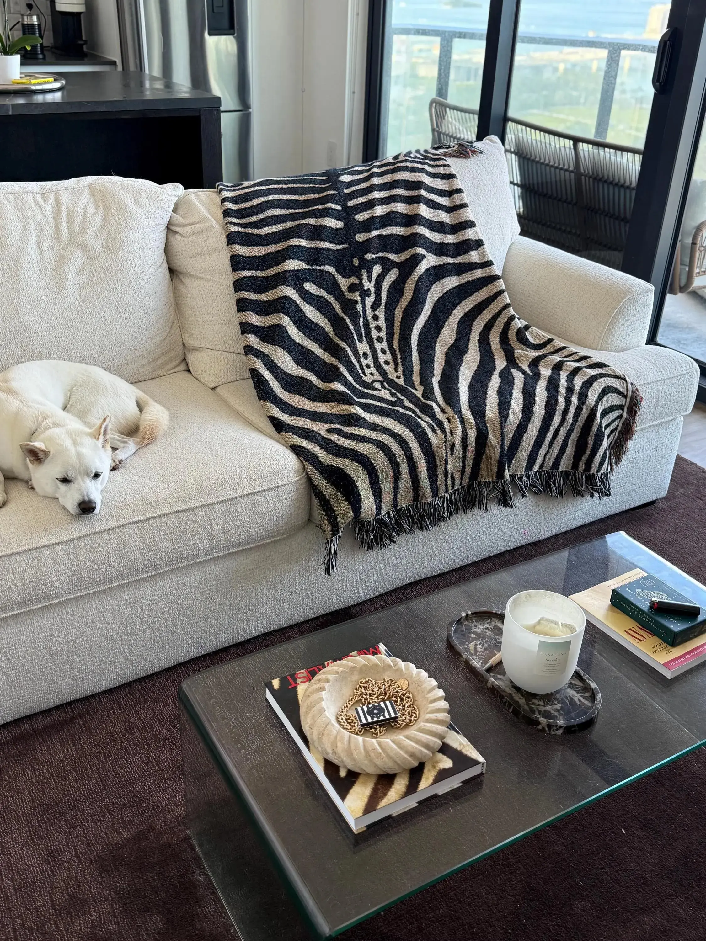 Abstract Zebra Stripe Woven Blanket | Cotton Throw, Fringed Edges, Animal Print Decor