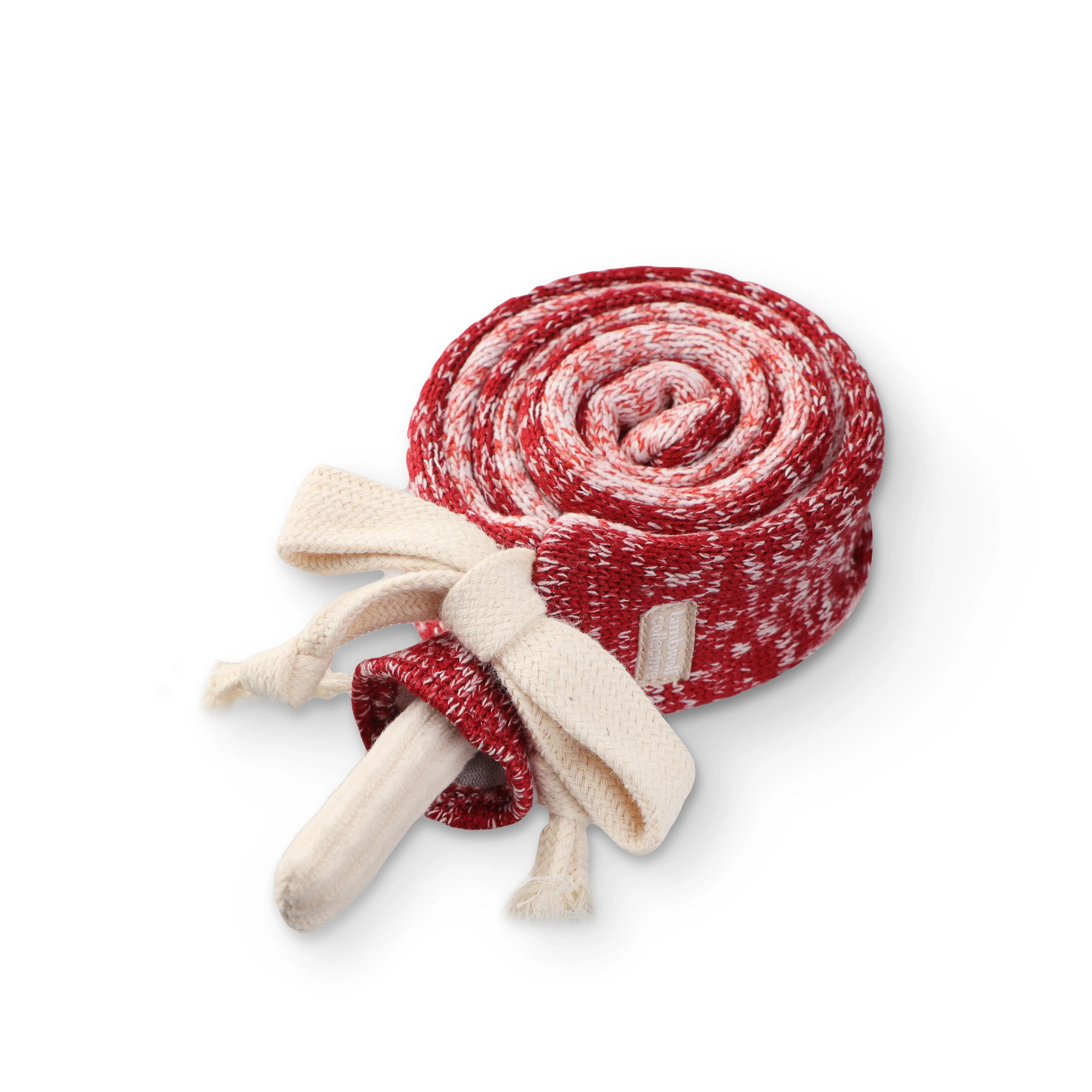 Lollipop Enrichment Dog Toy