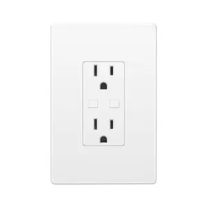 BN-LINK Smart in-Wall Wi-Fi Outlet with 2 Individually Controlled Outlets, Compatible with Alexa, Google Assistant, Type-C Charging,APP Remote Control, 15A, 2.4GHz WiFi Only multi plugoutlet electrical safety smart plug sleek socket powerstrip