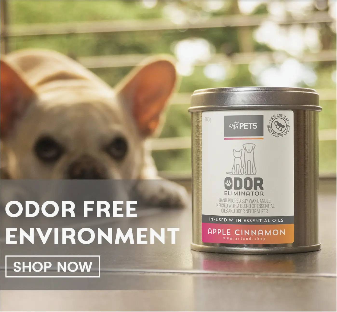 Art & Pets 6 oz Soy Wax Pet Odor Eliminator Candle – Multi-Scent (Lavender, Vanilla, Lime-Lemon, Apple Cinnamon, Fresh Linen, Lemongrass) – 72 Hour Burn