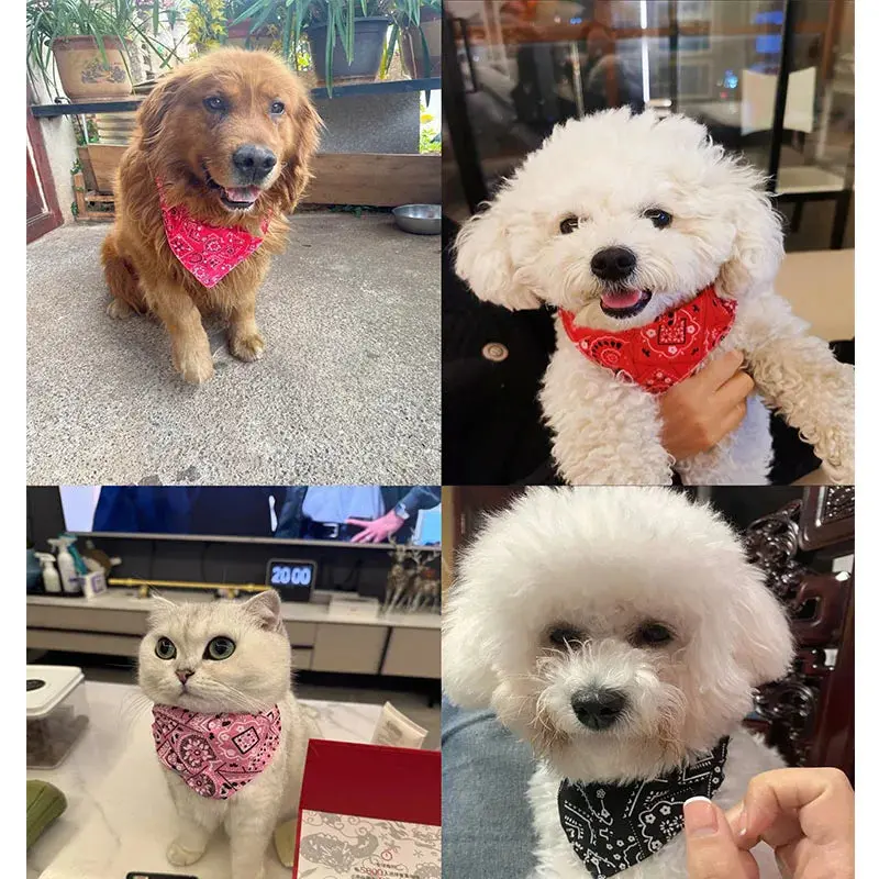 Pet Bandana Scarf for Cats & Dogs - Adjustable Size, Washable Collar, Chic Bib, Universal Fit, s/m Sizes, 33-53cm Length, Aids Cleanliness for Walks & Special Events