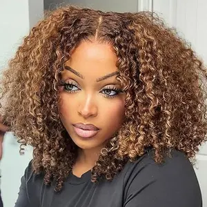 Tuneful Afro P4/27 Glueless Kinky Curly Wigs Human Hair 5x6 Wear Go Wigs Pre Cut Lace Afro Curly Wig for Women Beginner Friendly 20Inches BlackFriday