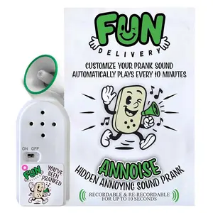 Fun Delivery Annoise Programmable Noise Maker for Pranks and Gag Gifts, Perfect for Coworkers and Boss