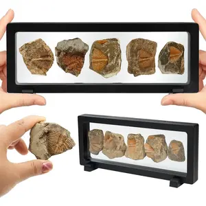 5PCS Authentic Prehistoric Fossils in Rock, Educational Science Specimens for Kids & Adults, Geological Collection, Unique Gift for Collectors and Classroom Use