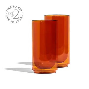 Cove 16oz Glass Pint - Set of 2 - Amber