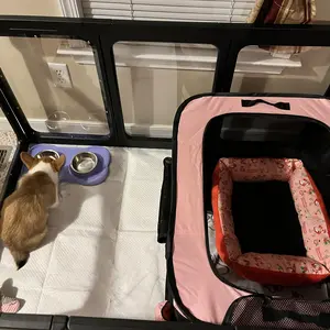 Dog Playpen 23.6 Height 8/10PCS Clear Acrylic Pet Playpen Indoor with Gate, Pet Pen for Puppies Cats & Bunnies, Easy Assemble Foldable Whelping Box