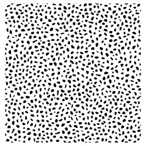 Opalhouse Speckled Dot 198"x20.5" Peel and Stick Wallpaper Eclectic, Black