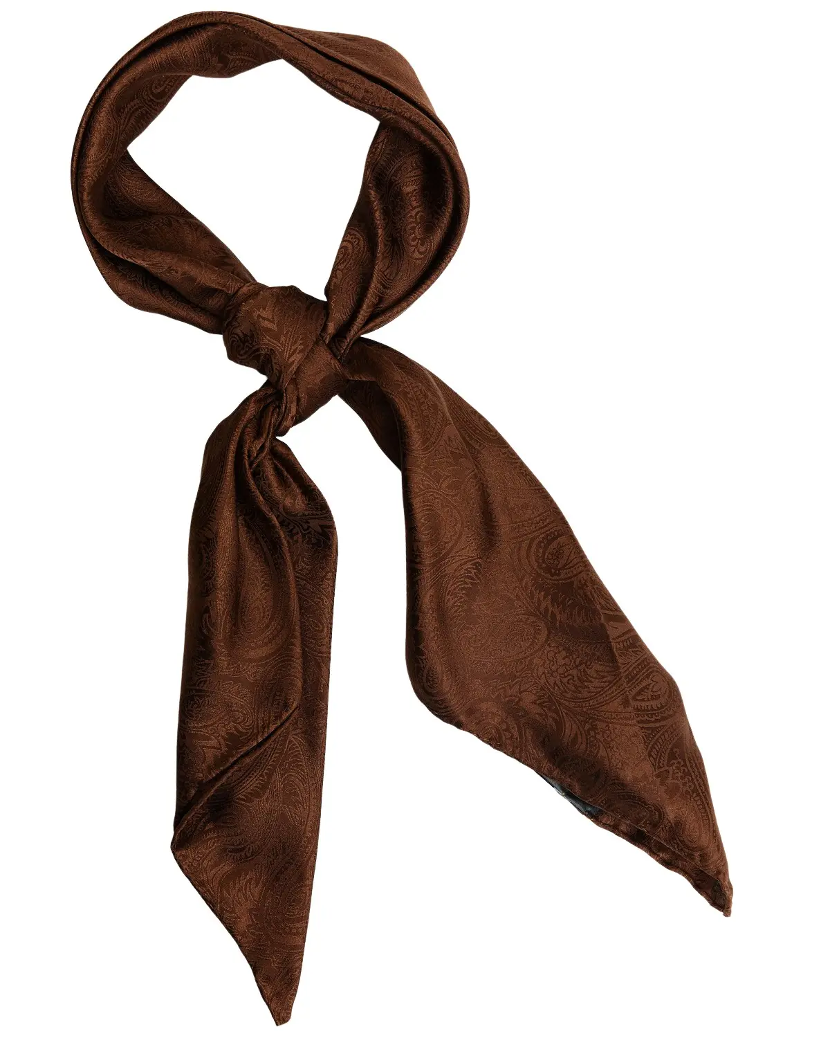 Cody James Men's Men'S Silk Wild Rag Scarf - Cjaho21bn4