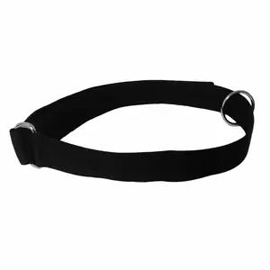 Resistance Exercise Belt