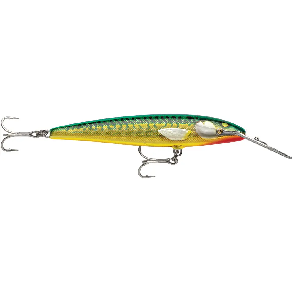 Armored Green Mackerel
