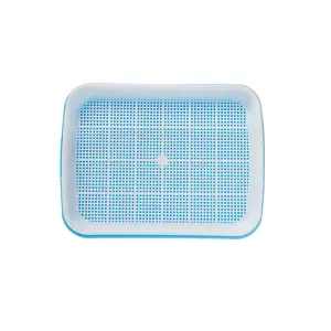 6 Microgreen Trays