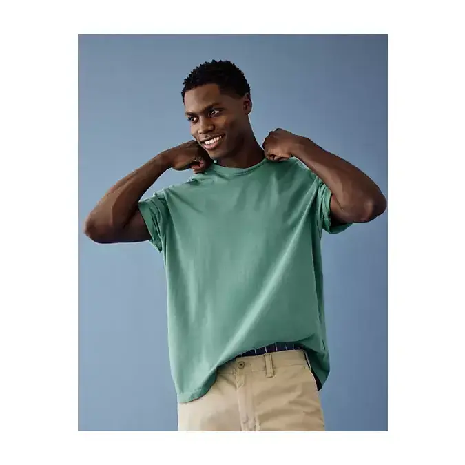 AE Standard Fit Lived-In T-Shirt