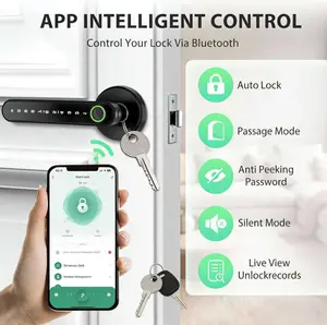 combination lock keypad lock  digital door lock entrance apartment office anti-peeping password padlock tuya app control voice guide knob locker school indoor outdoor use lever handle keyless entry room biometric tech geek smart