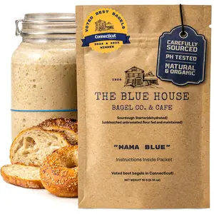 Dehydrated Sourdough Starter Culture 10g – Fast Activating Dry Starter for Bread, Bagels & Pizza, Organic Ingredients, Beginner Friendly, Shelf Stable