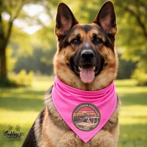 Passenger Princess bandana