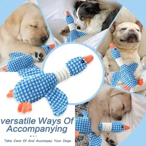 Two Dog Toys, Durable Plush Crinkle, Squeaky, and Interactive Chew Toys for Small Medium Large Breeds, Perfect for Teething Puppies and Playtime Fun