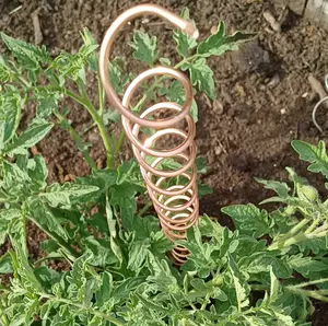 9 PACK XL electroculture copper garden stakes growing plants and vegetables with electro culture copper antenna coils, 4' of copper wire